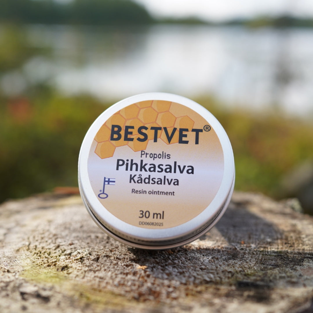 BESTVET Pihkasalva