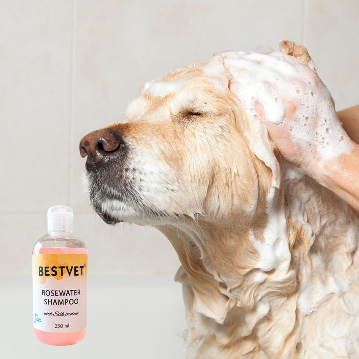 BESTVET Rosenvattenschampo