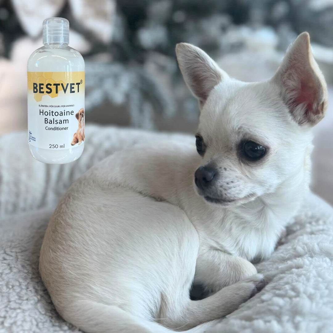 BESTVET Balsam