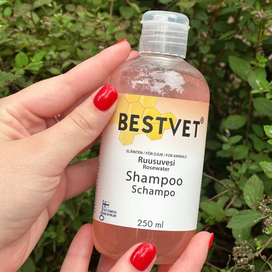 Hunajaista hoivaa – hemmottele lemmikkiäsi